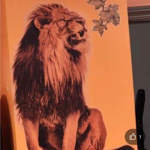 Vision Stickers - Picture 5 of 8